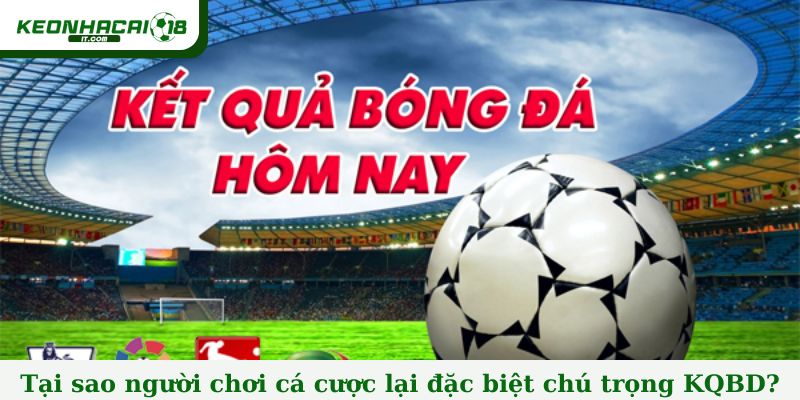 Tại sao người chơi cá cược lại đặc biệt chú trọng đến KQBD?