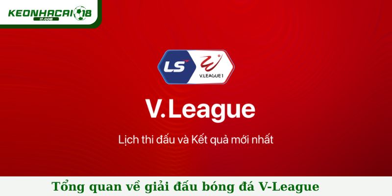 Tổng quan về giải đấu bóng đá V-League